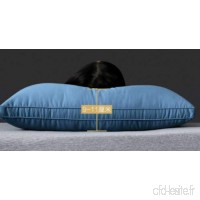 KLGG Pillow Household Adult One Single Wash Pillow Can Be Machine Wash Pillow High Pillow Blue - B07VQL88BD